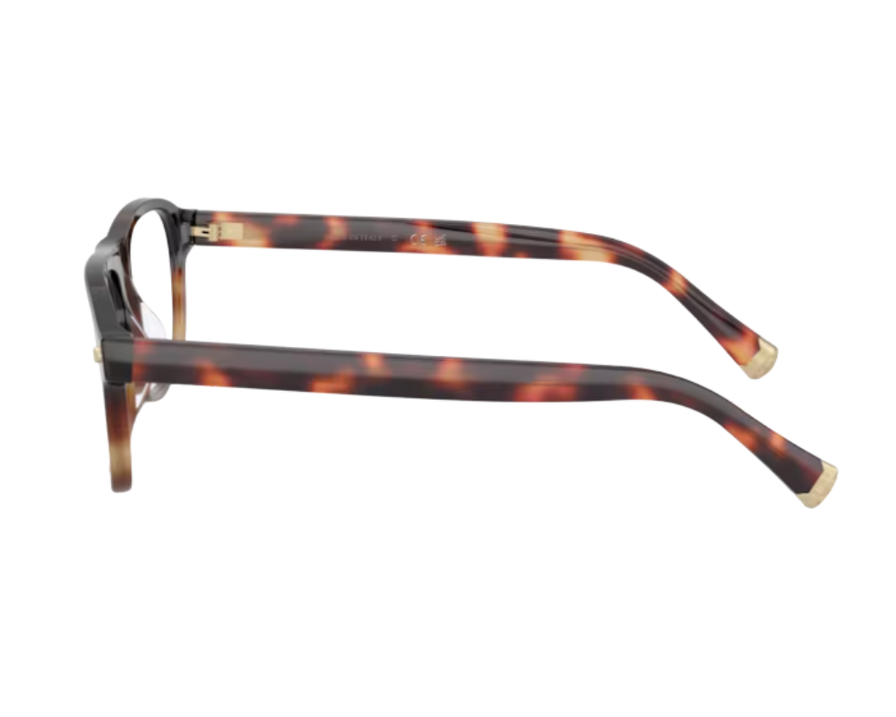 Korrektionsbrille Brunello Cucinelli BC3014
