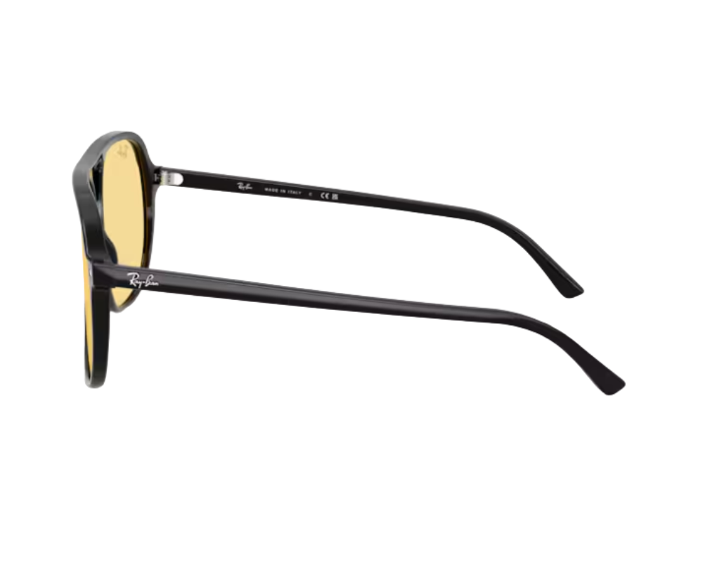 Óculos de Sol Ray-Ban Bill RB2198