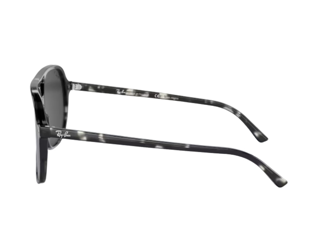 Óculos de Sol Ray-Ban Bill RB2198
