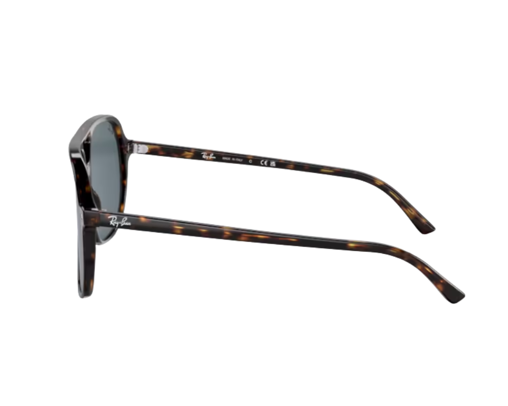 Óculos de Sol Ray-Ban Bill RB2198