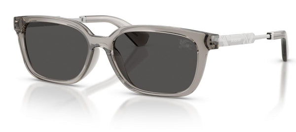 Lunettes de Soleil Burberry BE4481D