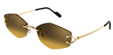 Gafas de sol Cartier Piccadilly CT0620S