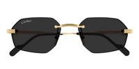 Gafas de sol Cartier Premiere CT0616S