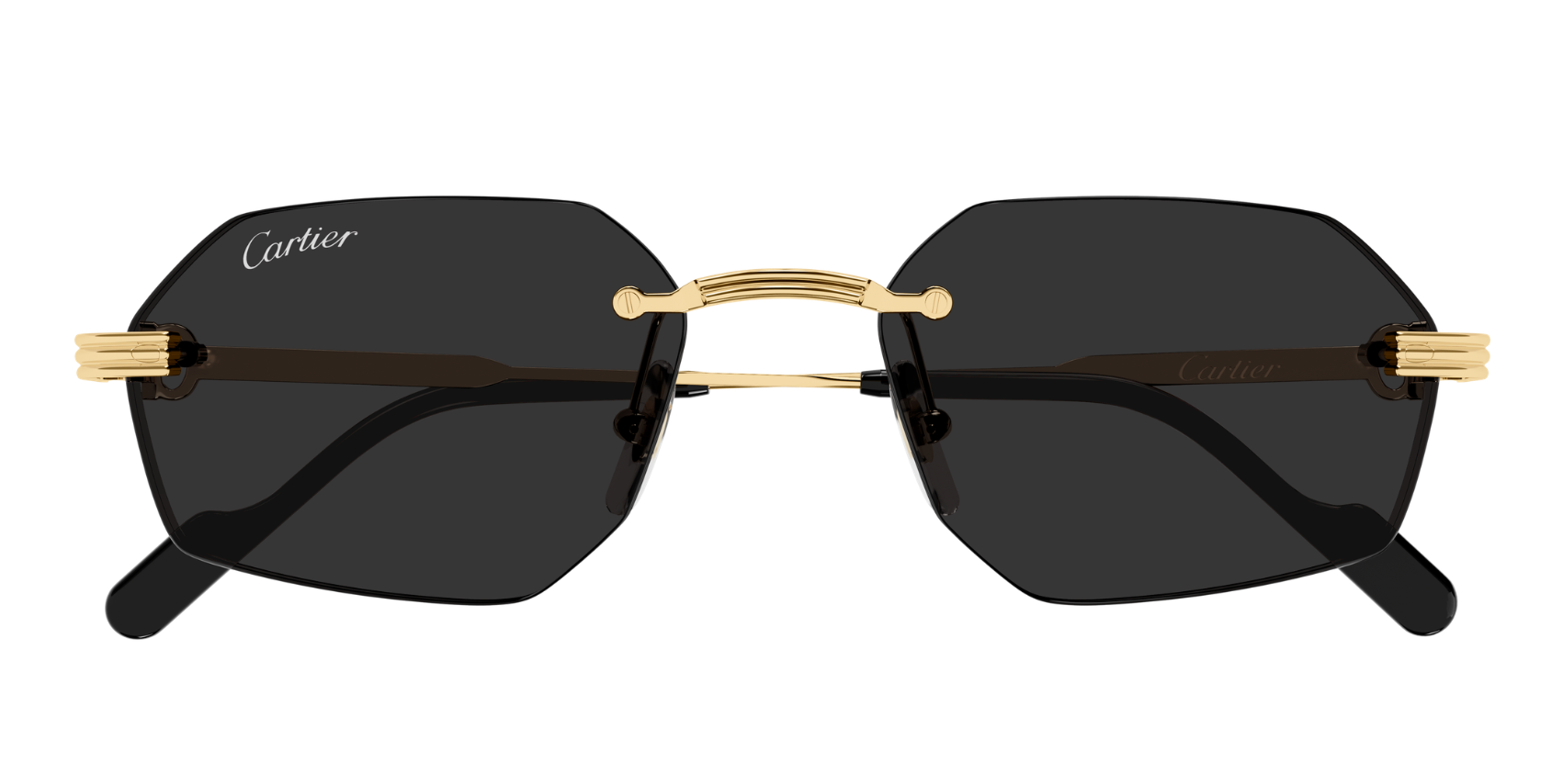 Gafas de sol Cartier Premiere CT0616S