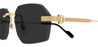 Gafas de sol Cartier Premiere CT0616S