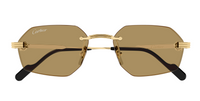 Gafas de sol Cartier Premiere CT0616S