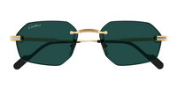 Gafas de sol Cartier Premiere CT0616S