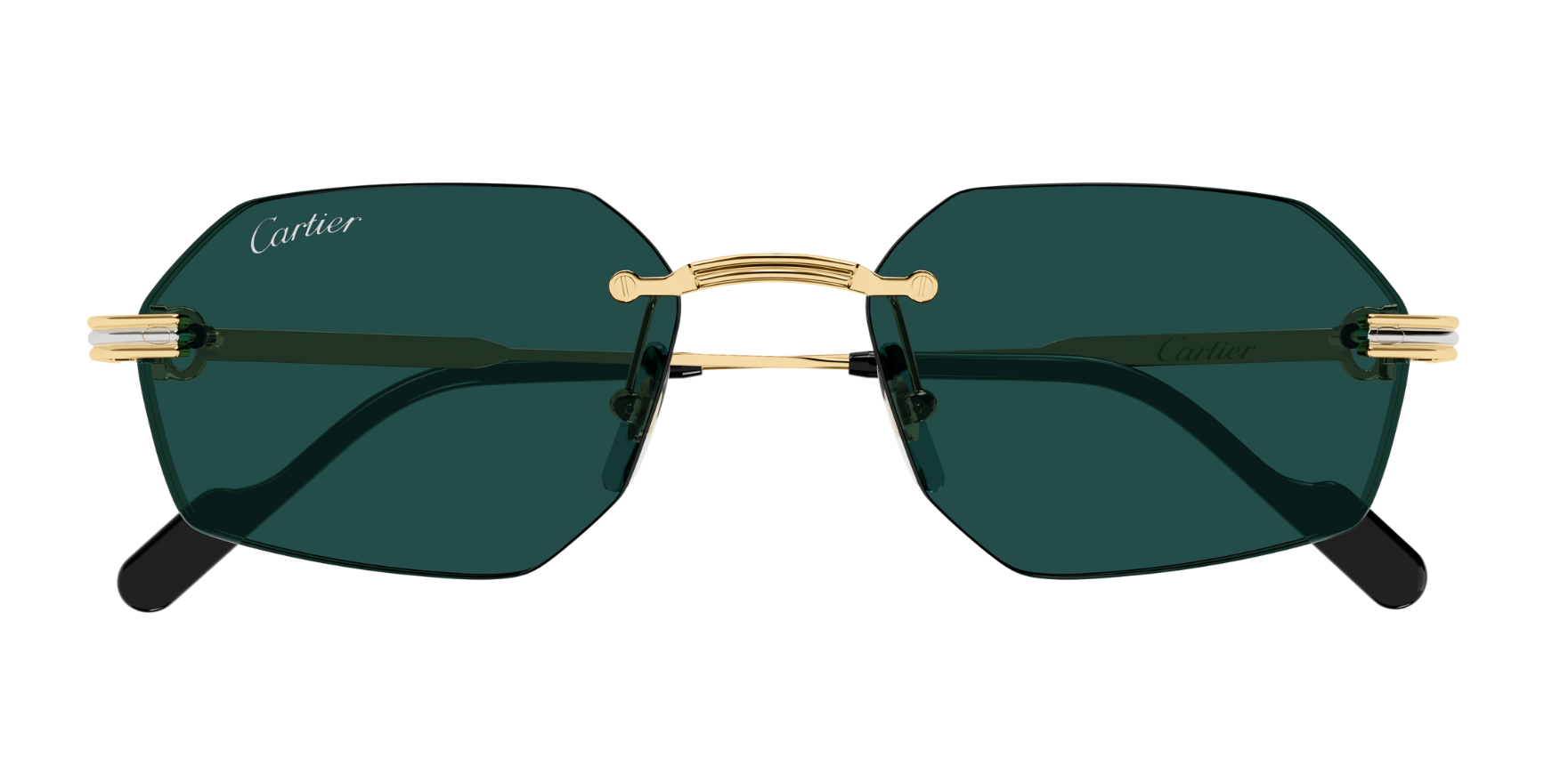 Gafas de sol Cartier Premiere CT0616S