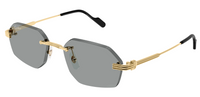 Gafas de sol Cartier Premiere CT0616S