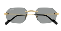 Gafas de sol Cartier Premiere CT0616S