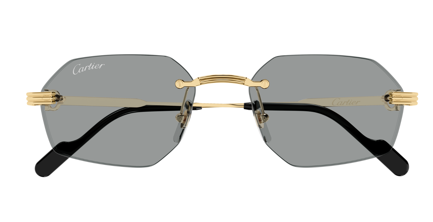 Gafas de sol Cartier Premiere CT0616S