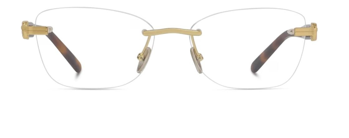 Brille Fred Chance Infinie FG50098U