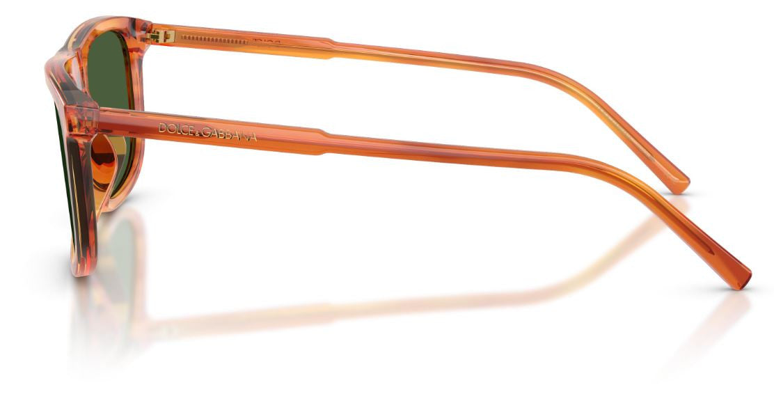 Gafas de Sol Dolce & Gabbana DG4542