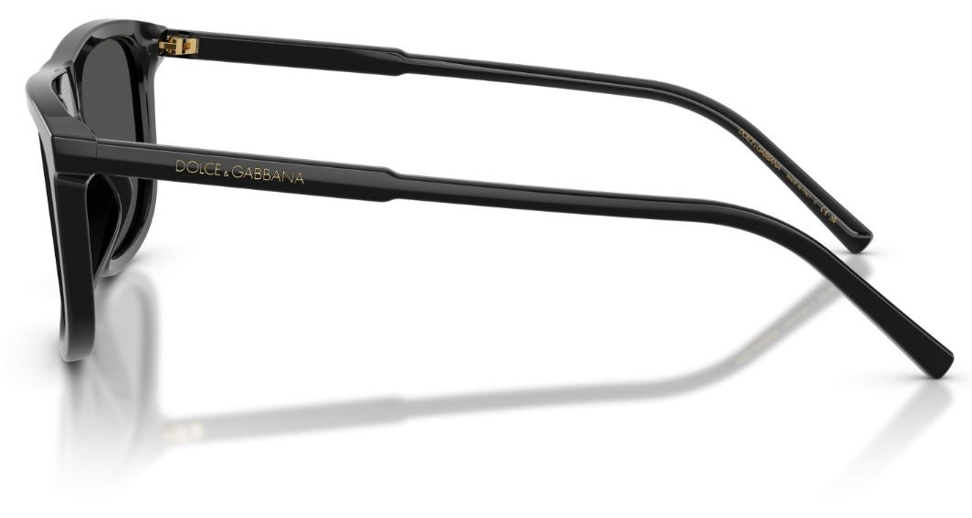 Gafas de Sol Dolce & Gabbana DG4542