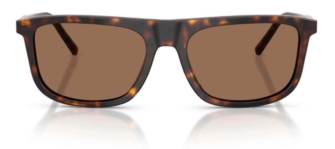 Gafas de Sol Dolce & Gabbana DG4542