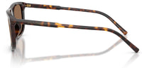 Gafas de Sol Dolce & Gabbana DG4542