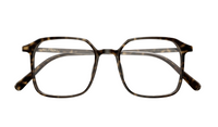Brillen Valentino VG0022O