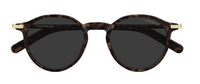 Óculos de sol Montblanc Snowcap MB0461S