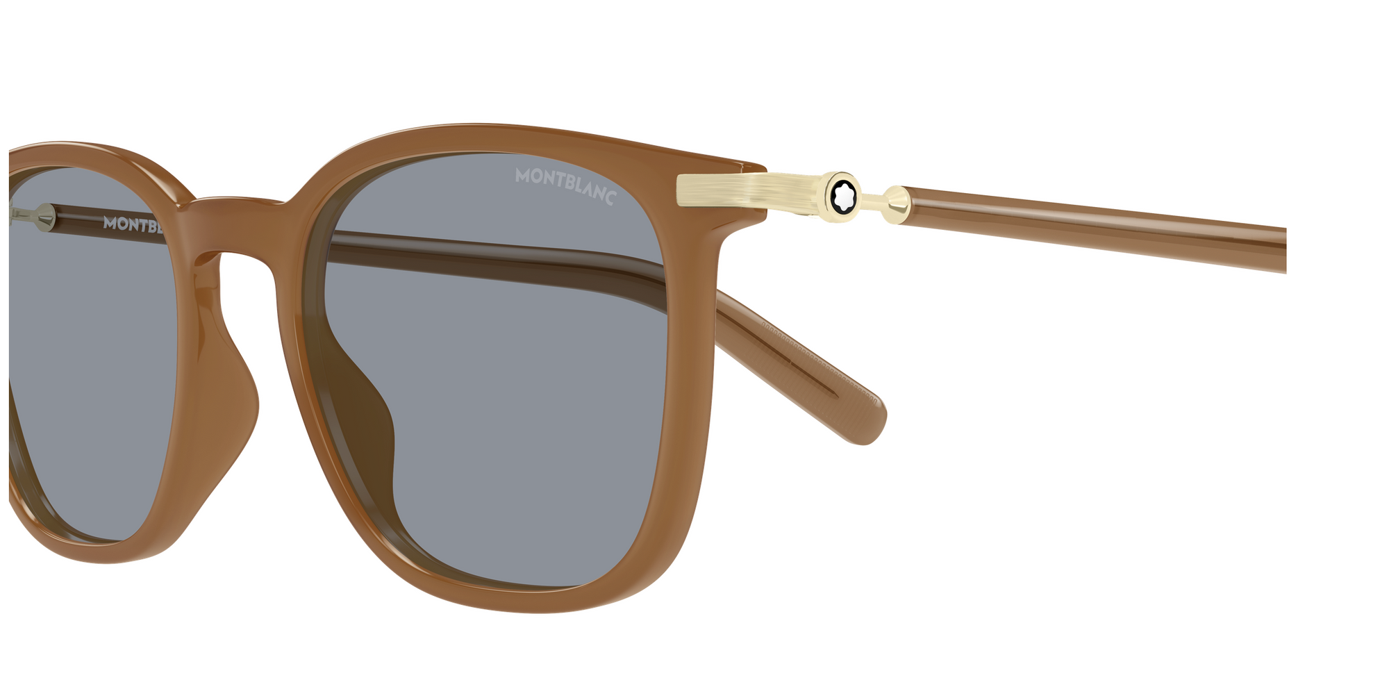 Gafas de sol Montblanc Snowcap MB0460S