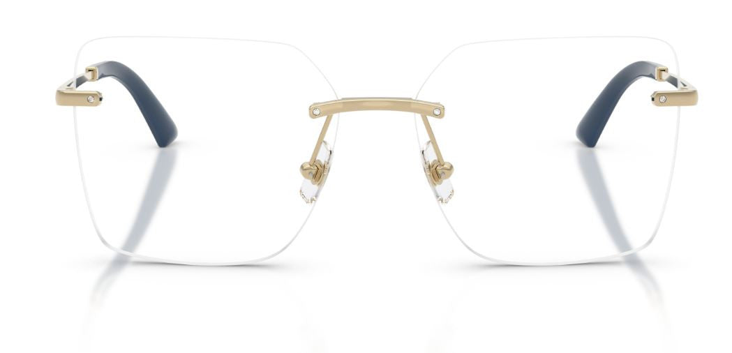 Brille Jimmy Choo JC2020B