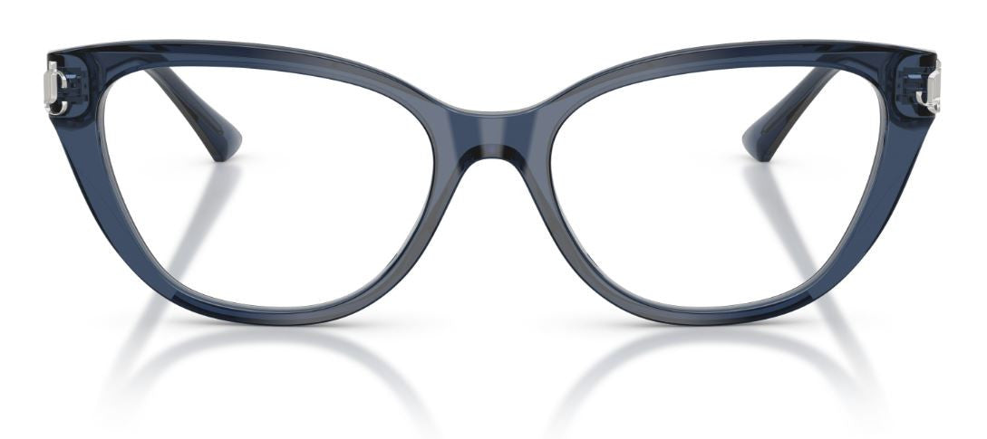Brille Jimmy Choo JC3011