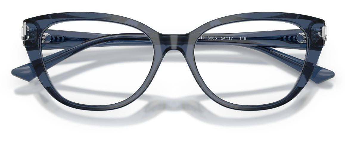 Brille Jimmy Choo JC3011
