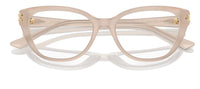 Brille Jimmy Choo JC3011