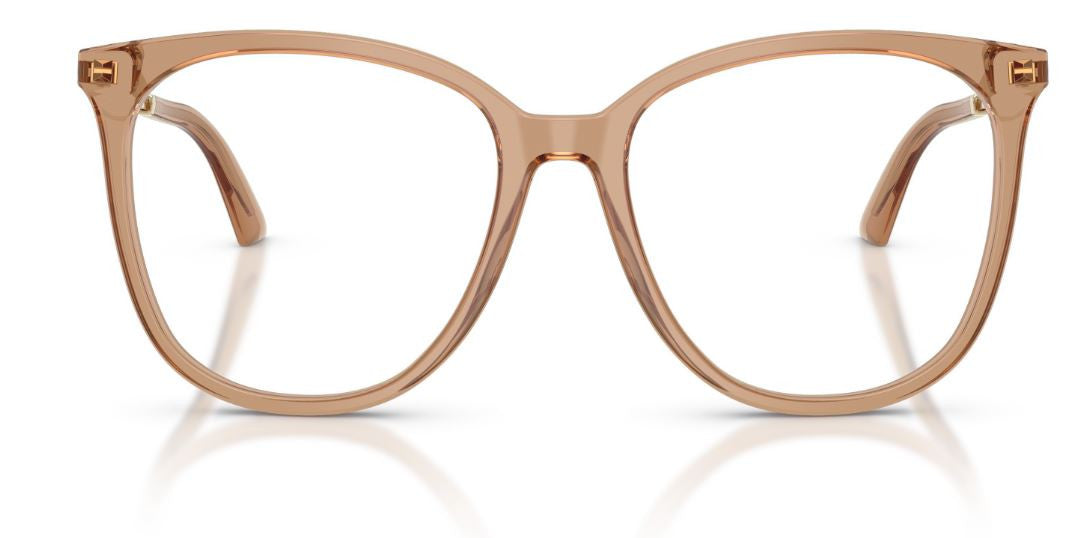 Brillen Jimmy Choo JC3060
