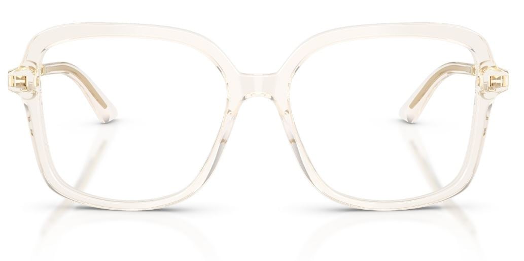 Brille Jimmy Choo JC3061U