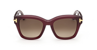 Óculos de sol Tom Ford Icon FT1329