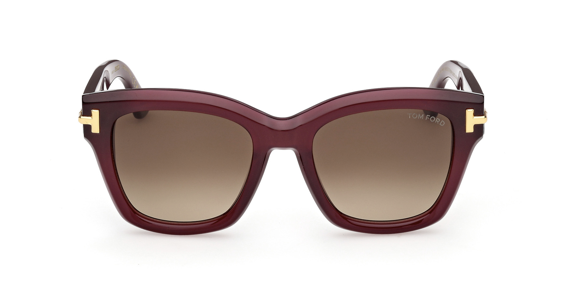 Óculos de sol Tom Ford Icon FT1329