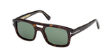 Gafas de sol Tom Ford Icon TI0022