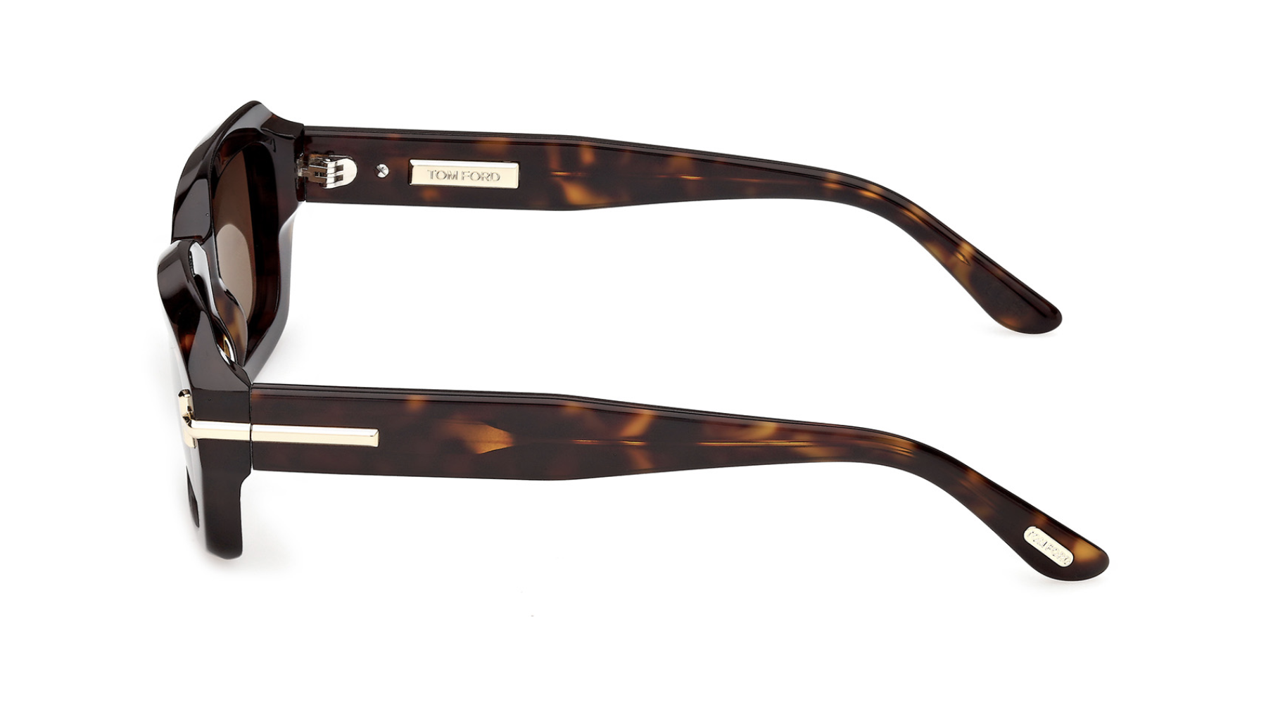 Gafas de sol Tom Ford Icon TI0025