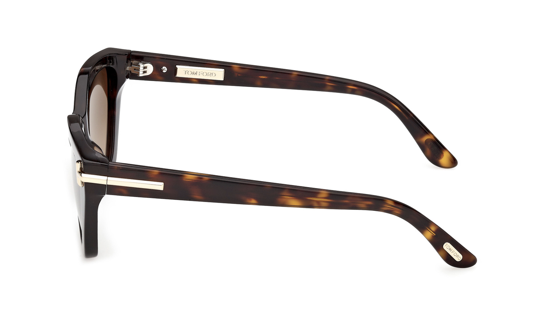 Gafas de sol Tom Ford Icon TI0024