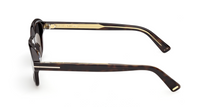 Óculos de sol Tom Ford Icon TI0021