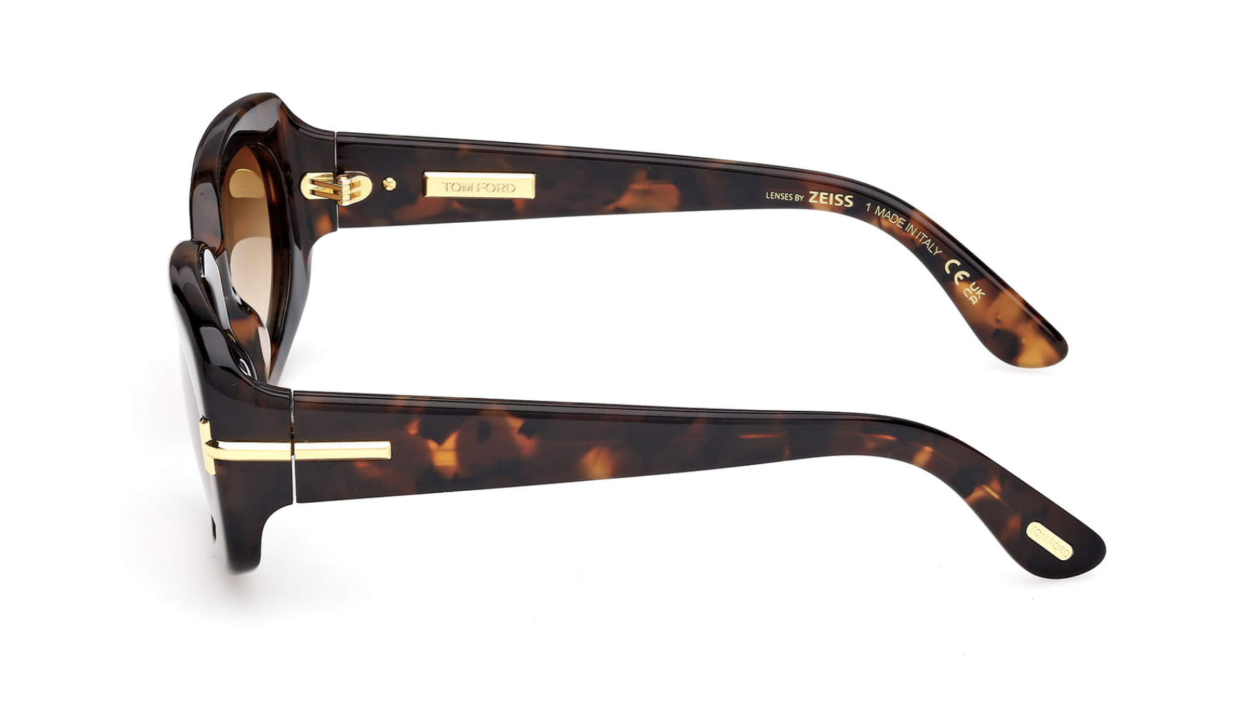 Óculos de sol Tom Ford Icon FT1253