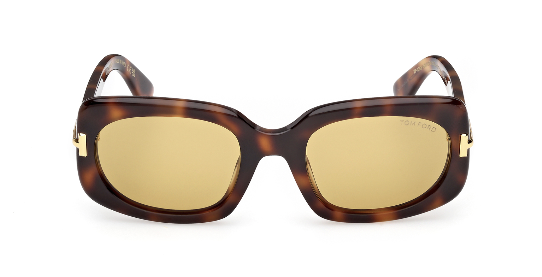 Óculos de sol Tom Ford Icon FT1253