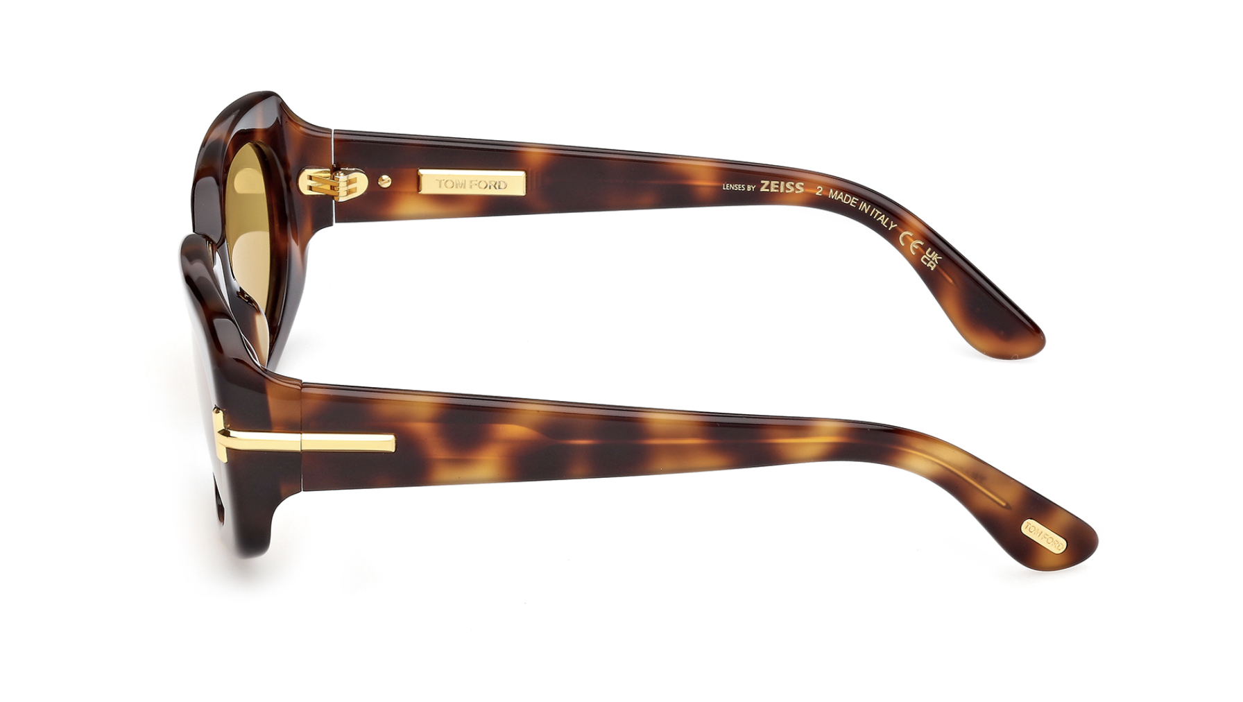 Óculos de sol Tom Ford Icon FT1253