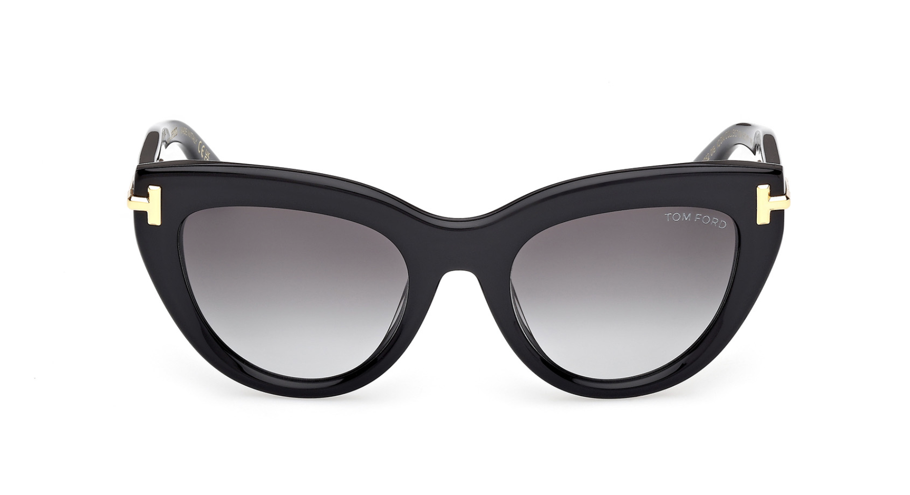 Óculos de sol Tom Ford Icon FT1252