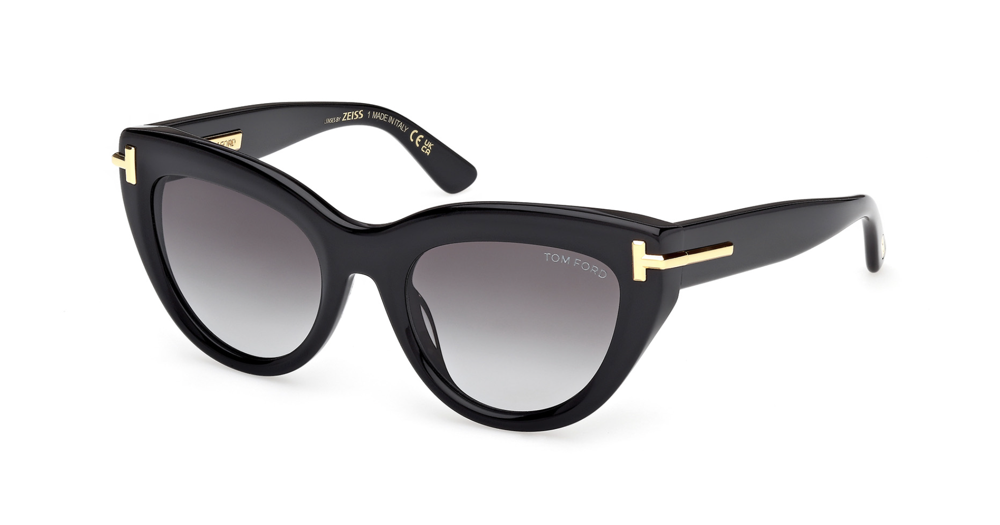 Óculos de sol Tom Ford Icon FT1252