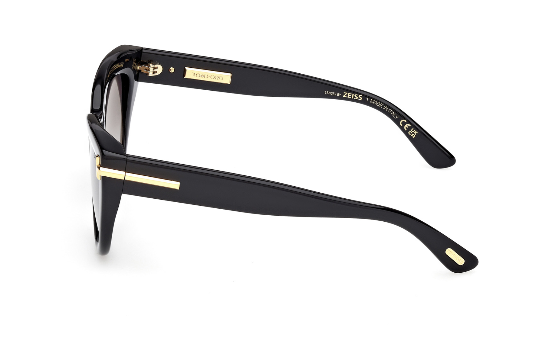 Óculos de sol Tom Ford Icon FT1252