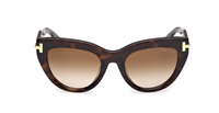 Óculos de sol Tom Ford Icon FT1252