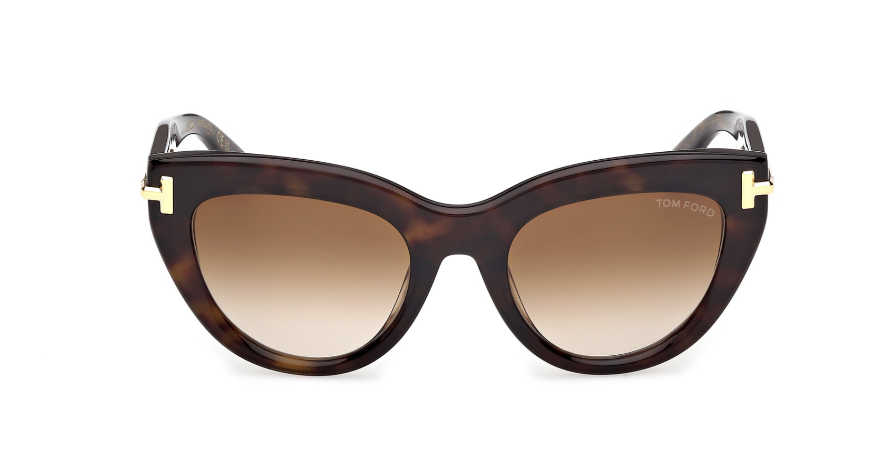 Óculos de sol Tom Ford Icon FT1252