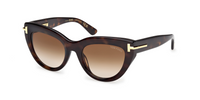 Óculos de sol Tom Ford Icon FT1252