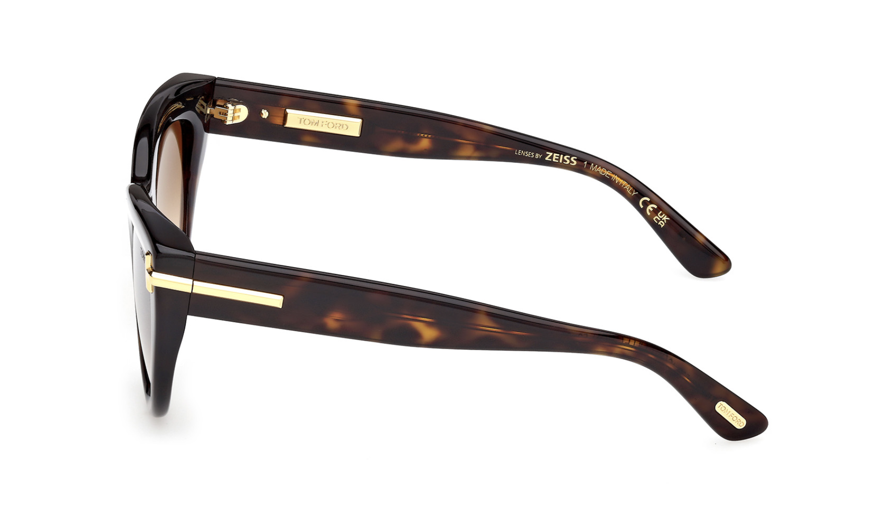 Óculos de sol Tom Ford Icon FT1252