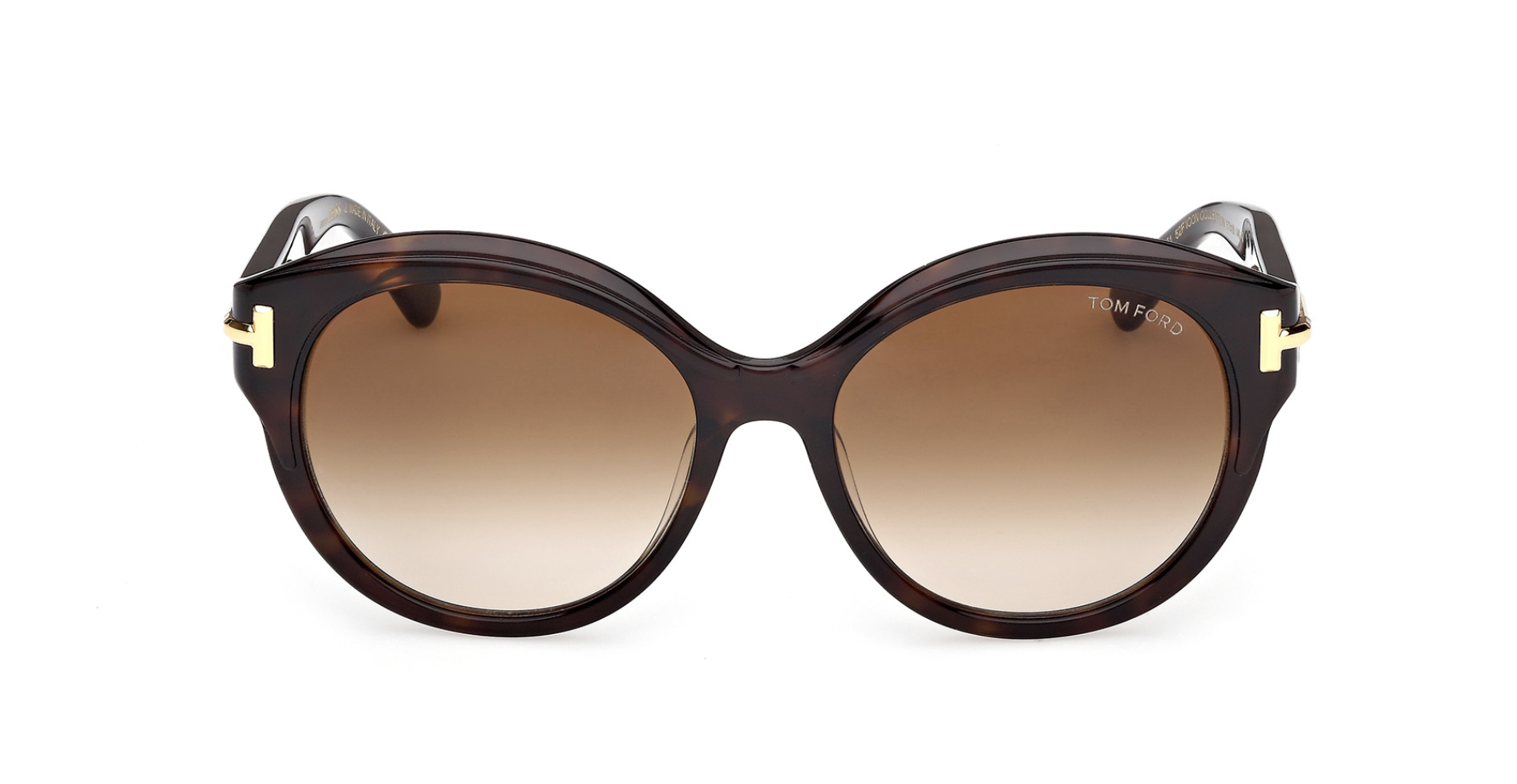 Óculos de sol Tom Ford Icon FT1251