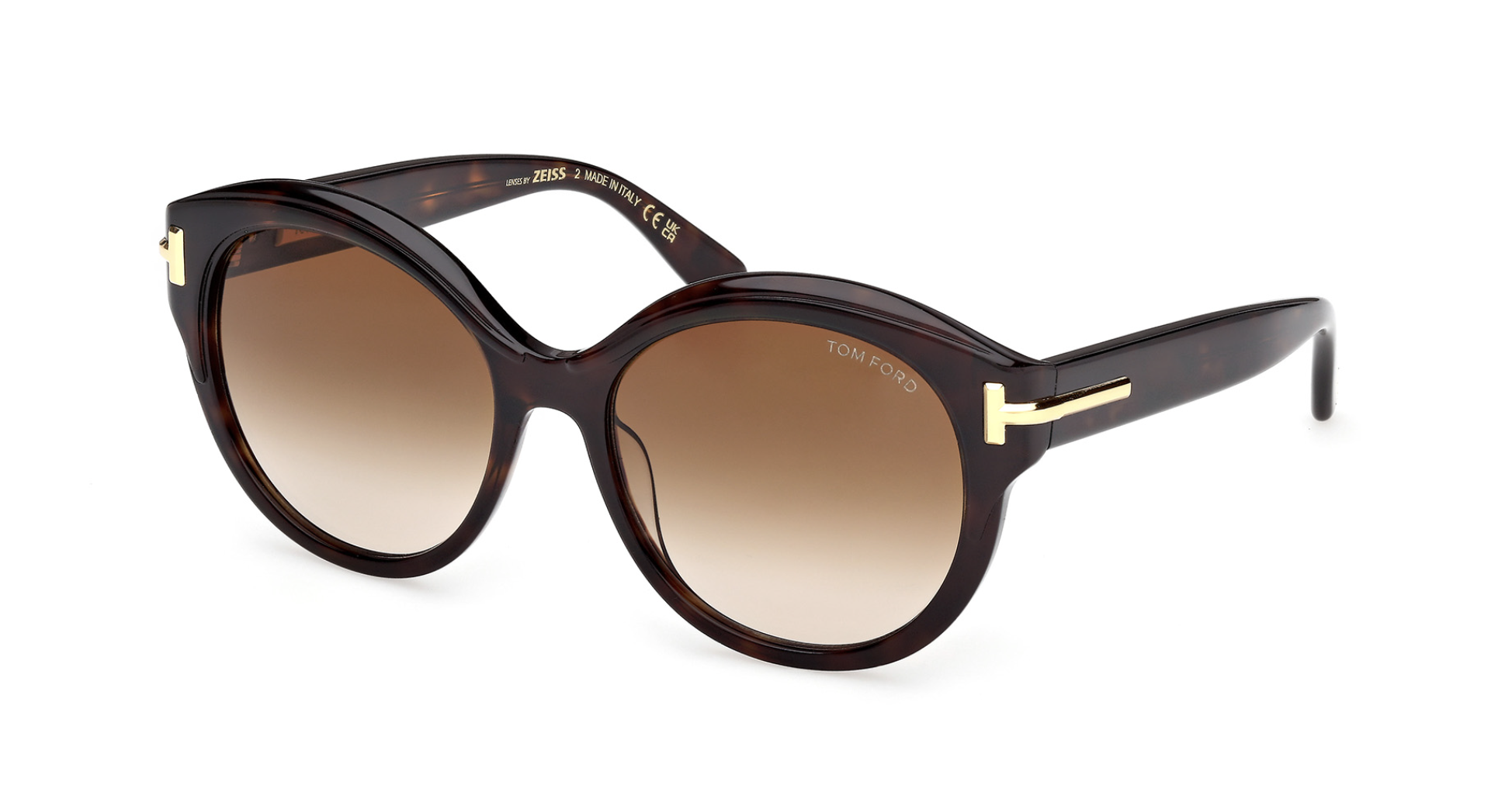 Óculos de sol Tom Ford Icon FT1251
