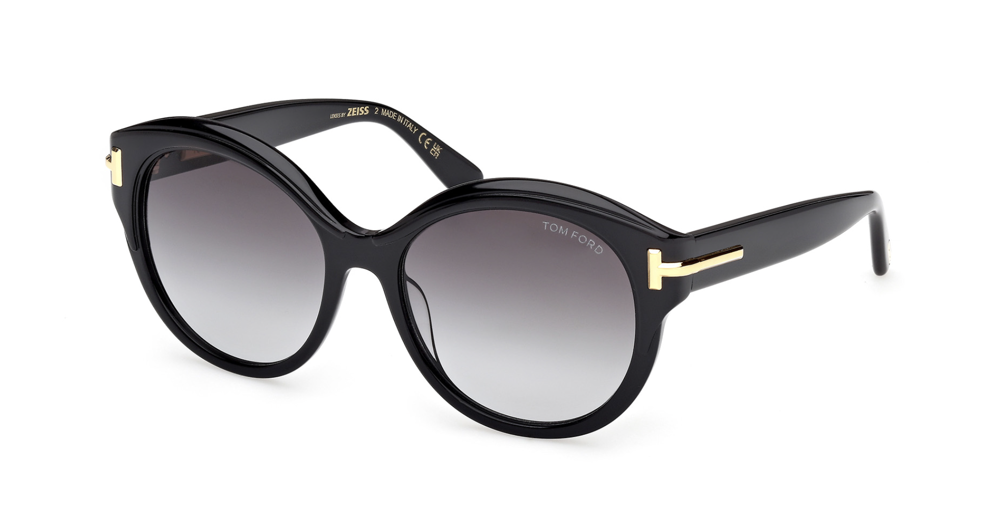 Óculos de sol Tom Ford Icon FT1251