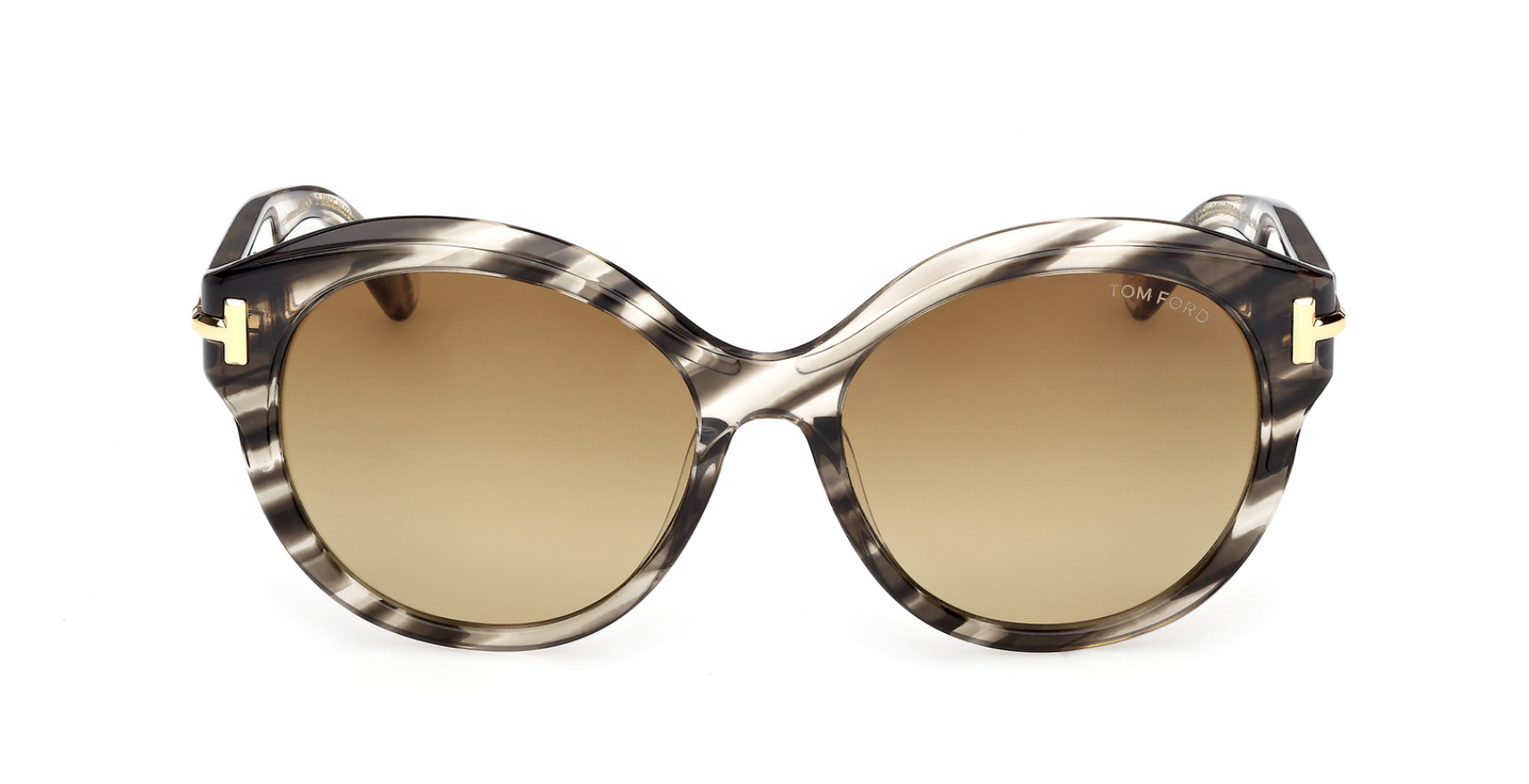 Óculos de sol Tom Ford Icon FT1251