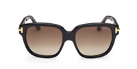 Óculos de sol Tom Ford Icon FT1236